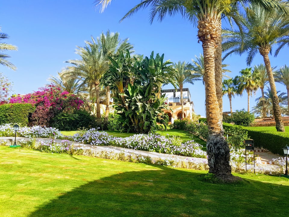 Gartenanlage Steigenberger Coraya Beach - Adults only