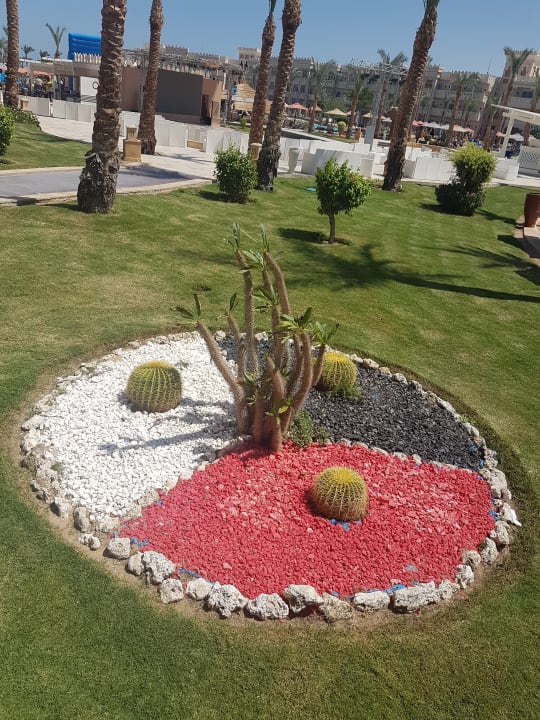 Gartenanlage Pickalbatros Palace Resort