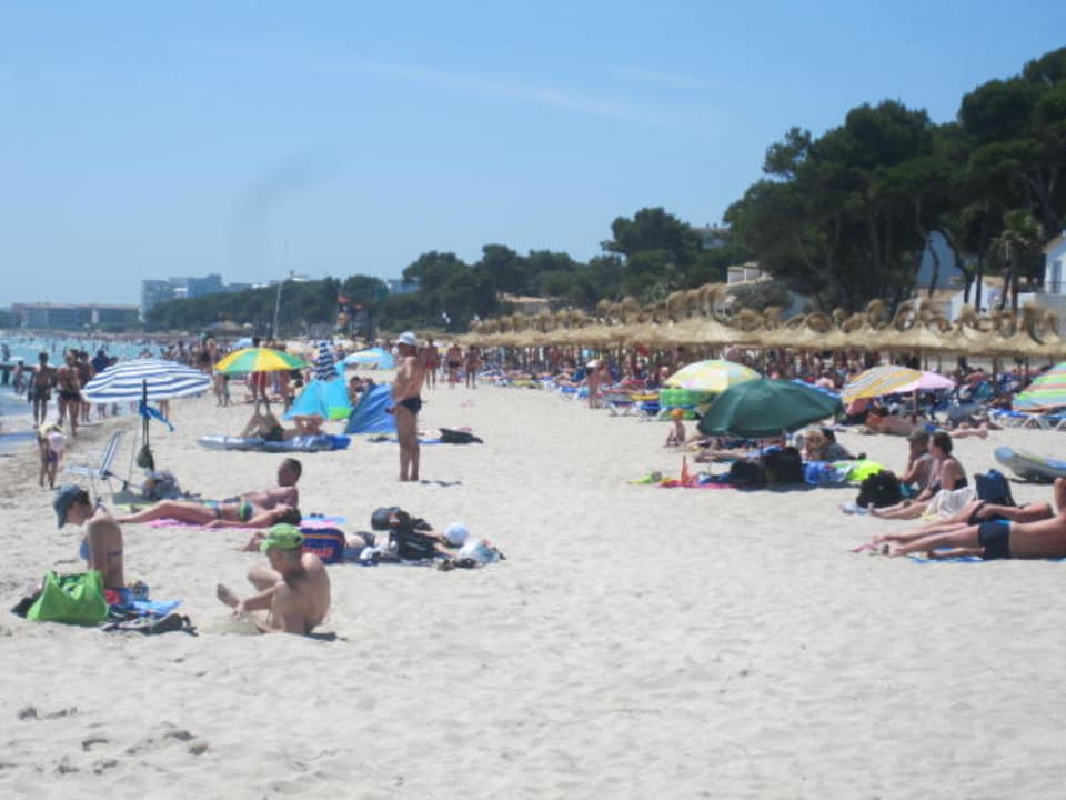 Strand  Las Gaviotas Suites Hotel