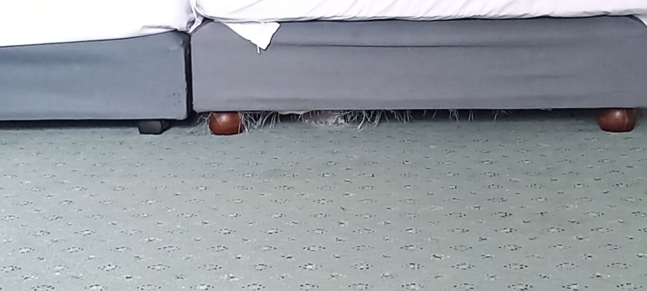 Zimmer Congress Hotel Weimar by Mercure