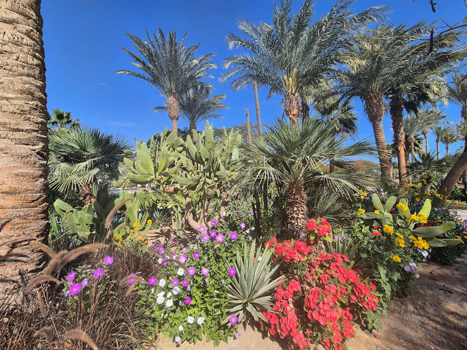 Gartenanlage Steigenberger ALDAU Beach Hotel
