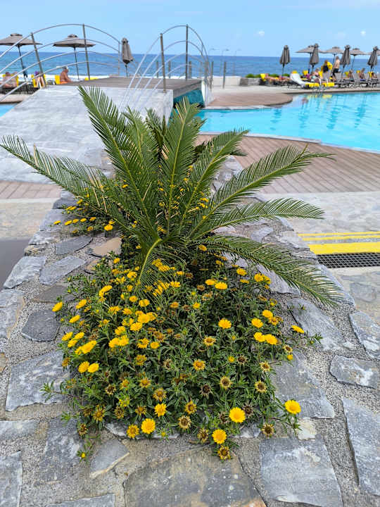 Gartenanlage allsun Hotel Malia Beach