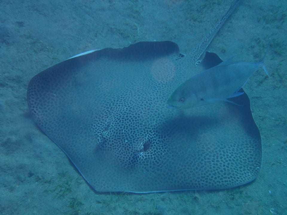 Strand Three Corners Equinox Beach Resort