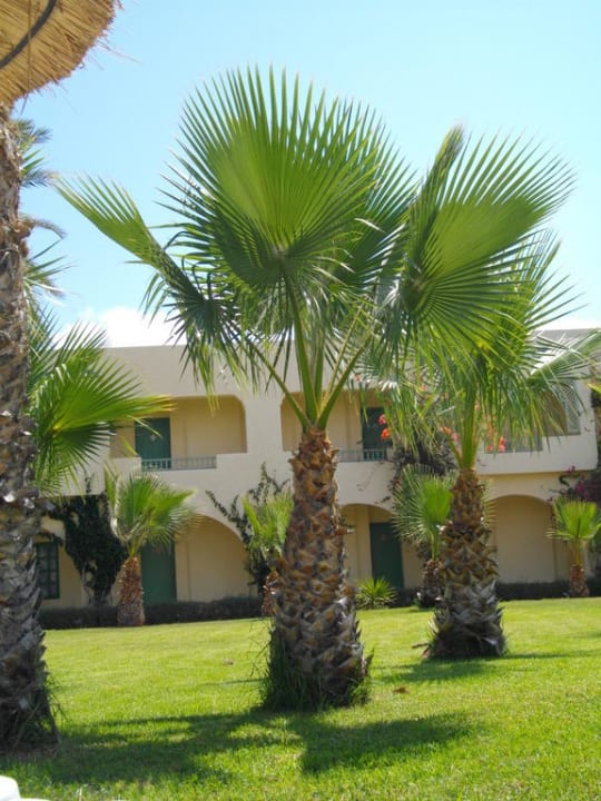 Vue depuis la piscine sur les chambres The Ksar Djerba Charming Hotel & SPA