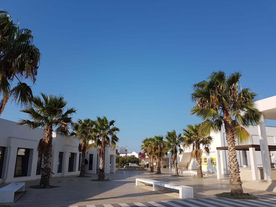 Sonstiges Atlantica Plimmiri