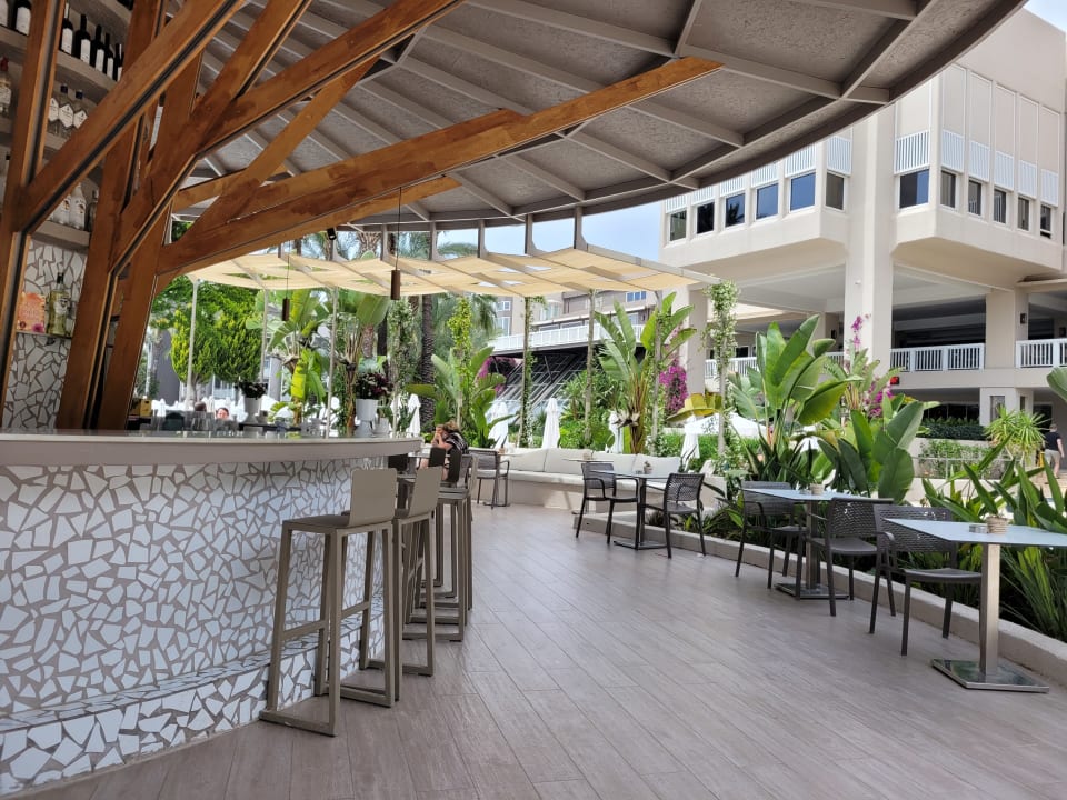 Gastro PALOMA Perissia