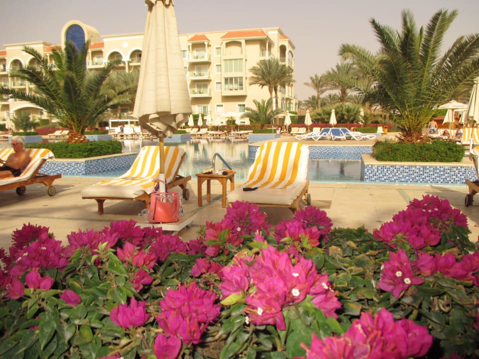 Morning on the pool Premier Le Reve Hotel & Spa