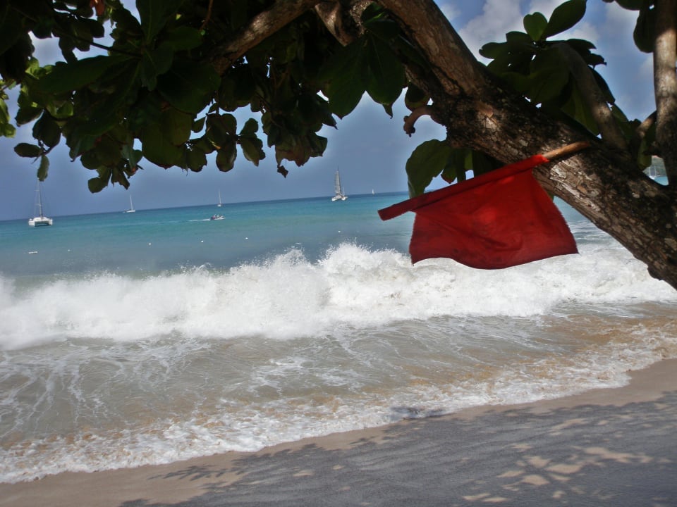 Springflut St Lucian by Rex Resorts  (Im Umbau/Renovierung)