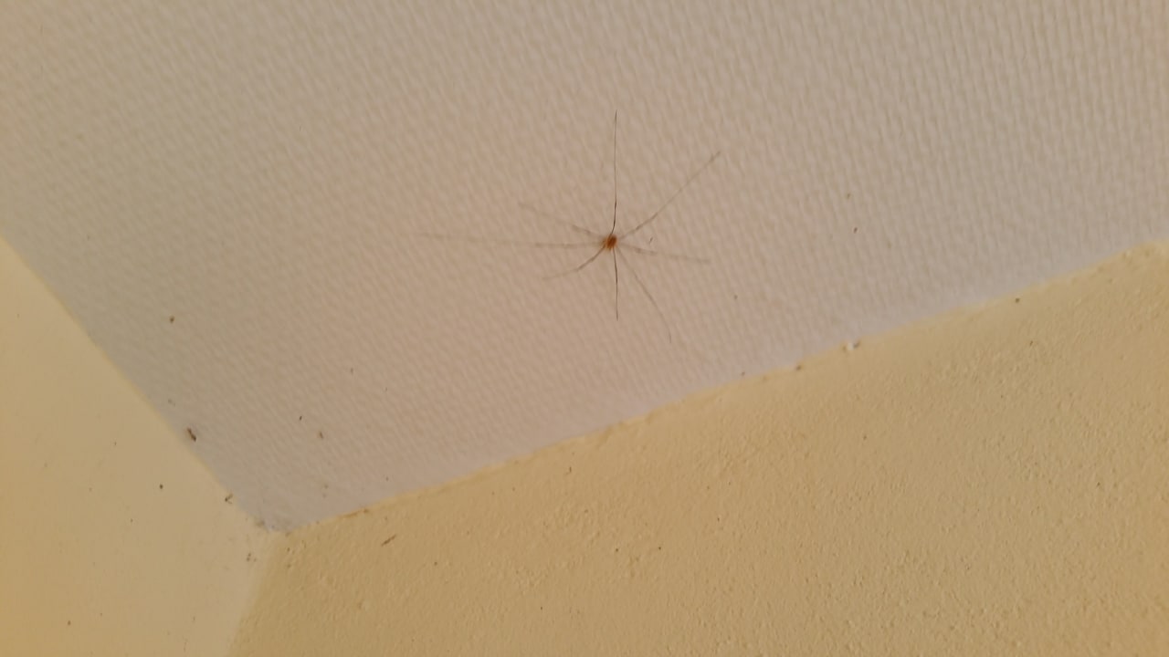 Zimmer Heide Park Holiday Camp