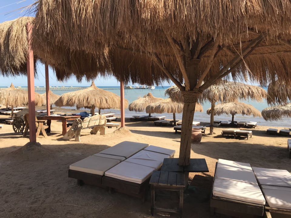 Der Strand und die Liegen, absolut klasse  Hotel Caves Beach Resort (Adults Only)