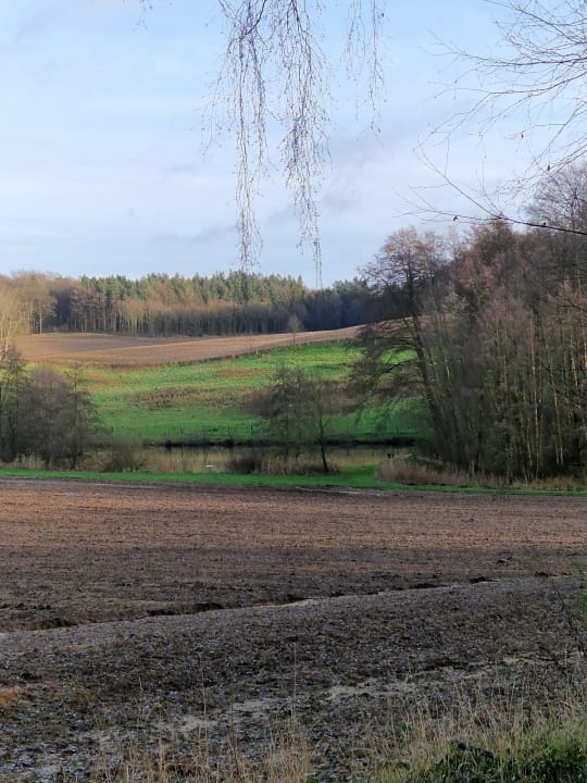 Ausblick Land-gut-Hotel Café Wahlde