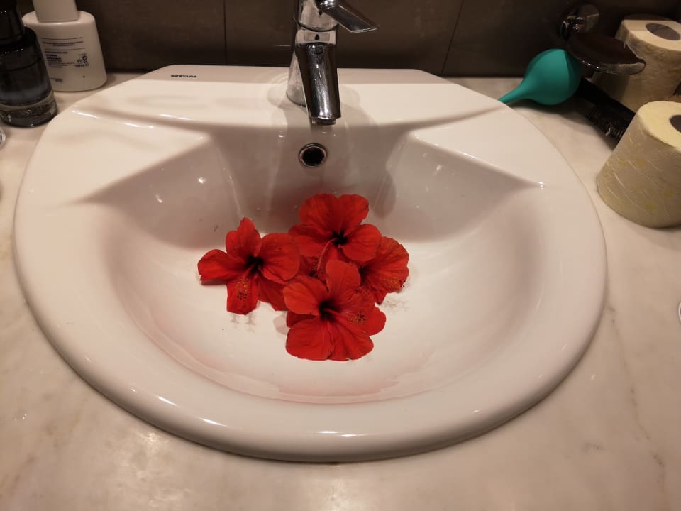 Zimmer Calimera Yati Beach