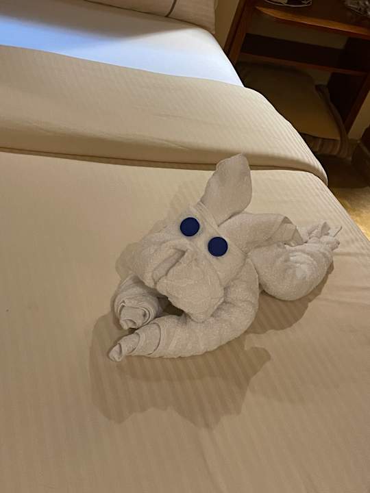 Zimmer Grand Waterworld Makadi