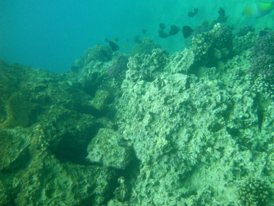 Sport & Freizeit Pickalbatros Citadel Resort