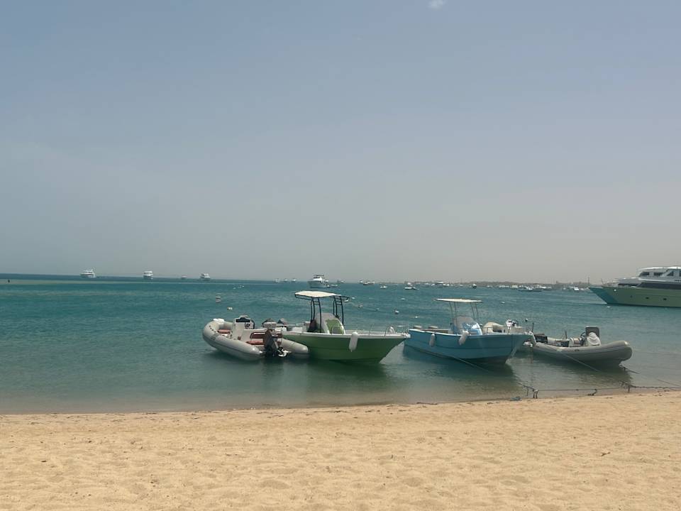 Strand FLOWER OF LIFE - Red Sea