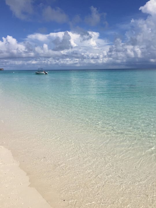 Strand  Kuramathi Maldives