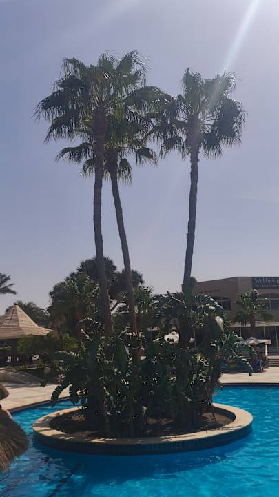 Pool Brayka Bay Resort