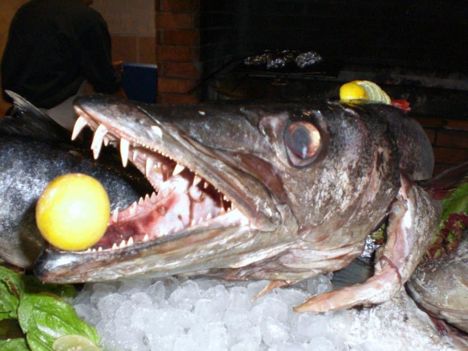 Lecker abendessen Pickalbatros Alf Leila Wa Leila Resort - Neverland Hurghada