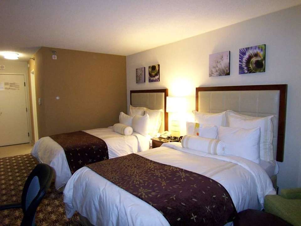 Doppelzimmer Hotel Marriott Houston North at Greenspoint