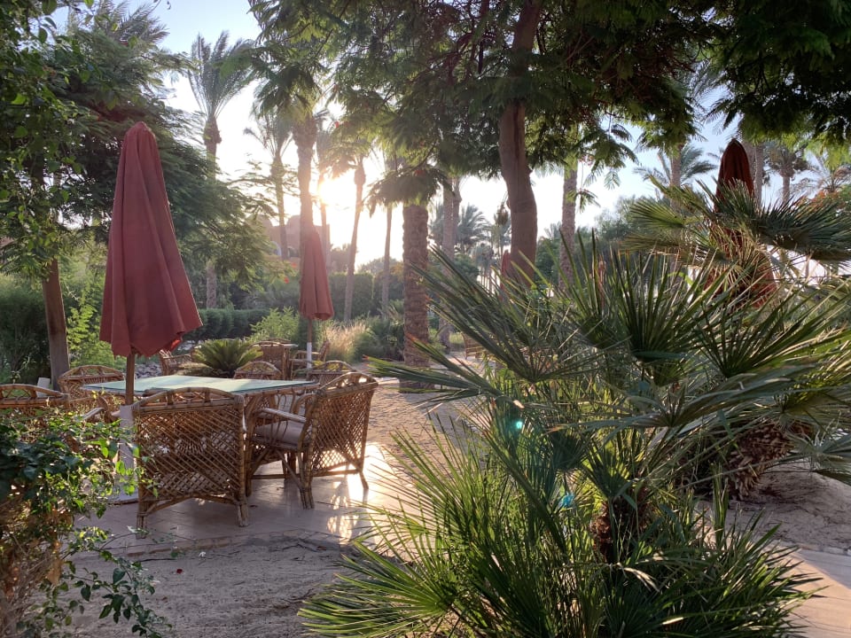 Gartenanlage Makadi Palace