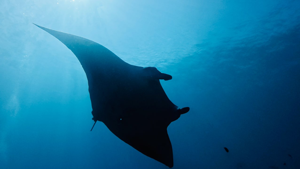 Sport & Freizeit Machchafushi Island Resort & Spa Maldives, The Centara Collection