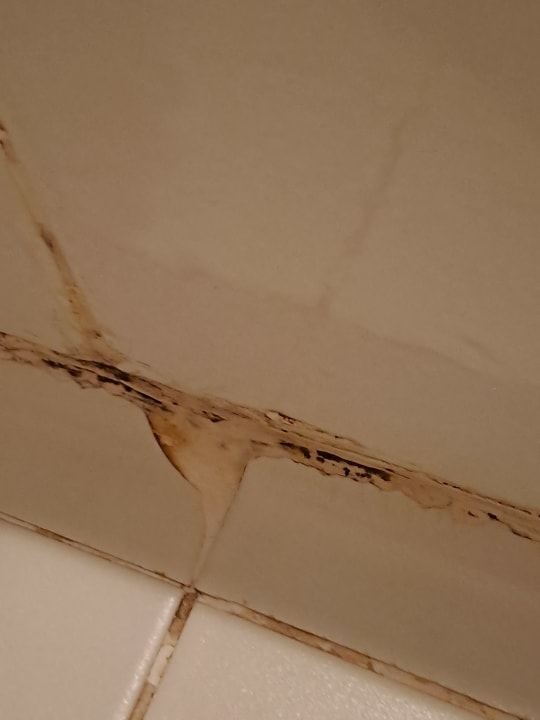 Zimmer Occidental Boa Vista Beach