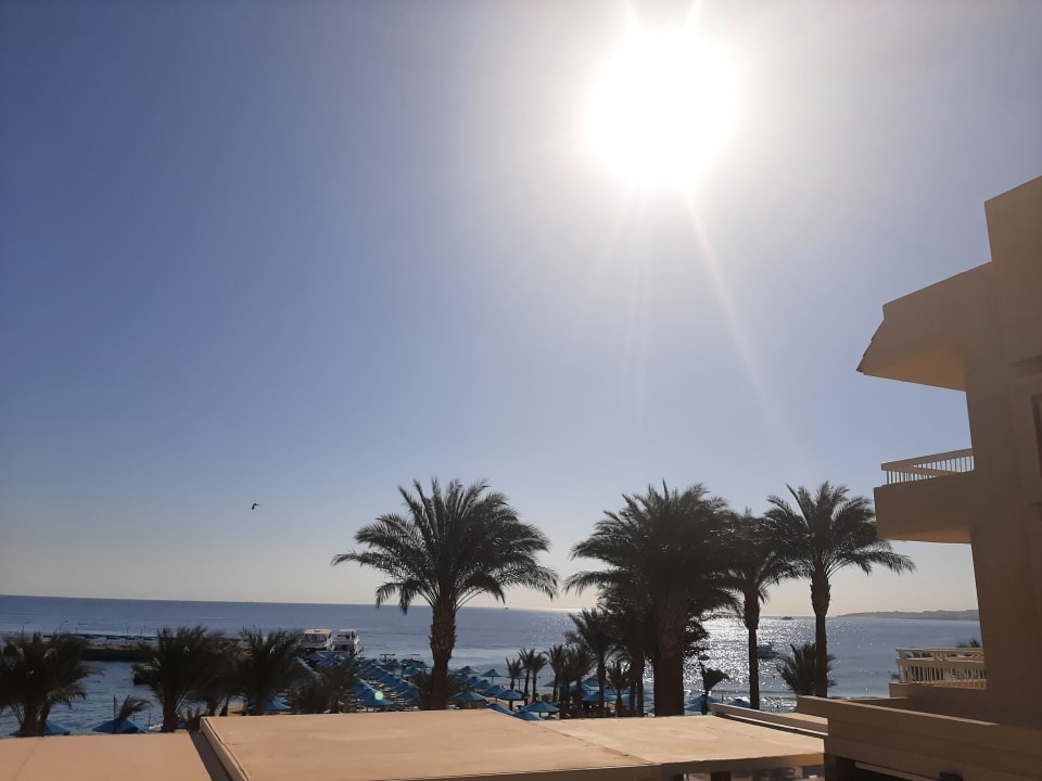 Ausblick Beach Albatros Resort