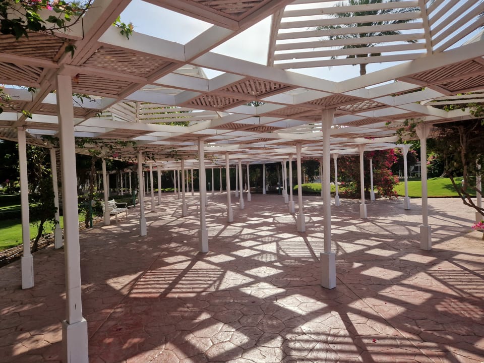 Gartenanlage Desert Rose