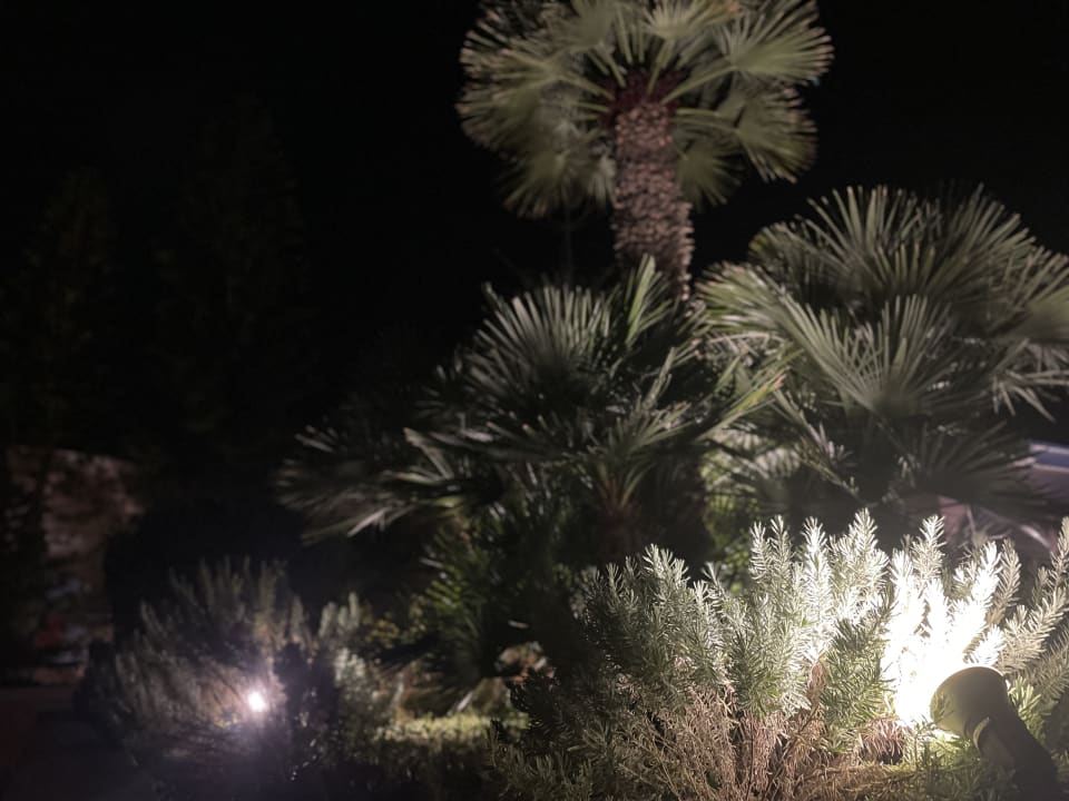 Gartenanlage Mitsis Rodos Village