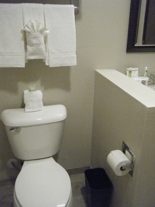 Toilette Holiday Inn Express & Suites Williams