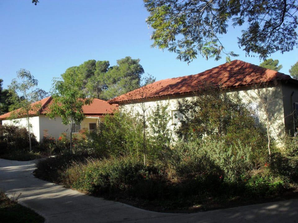 Wohnhäuser der Kibbuz-Bewohner Hotel Kibbutz Lavi