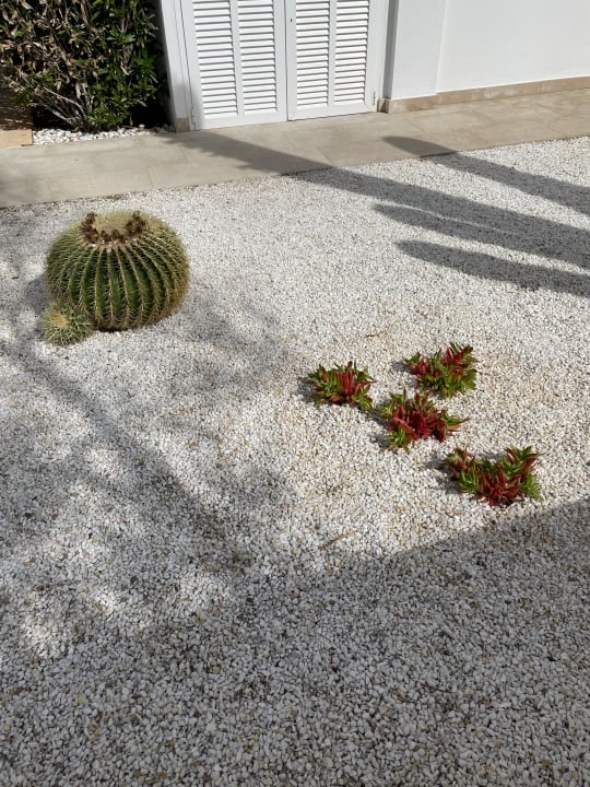 Außenansicht The Sea Hotel by Grupotel - Adults only