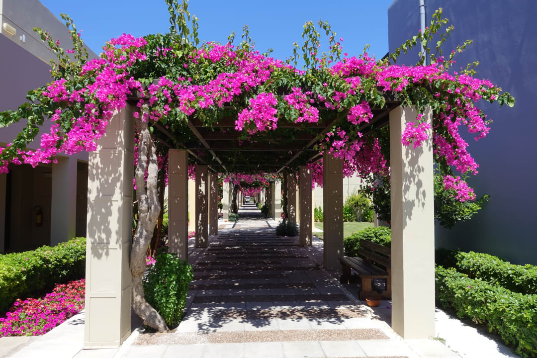 Gartenanlage Astir Odysseus Kos Resort & Spa