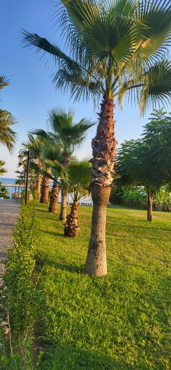 Gartenanlage Bella Resort & Spa