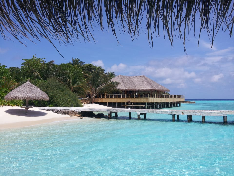 Die schöne Bar. Terrasse neu gemacht Eri Maldives