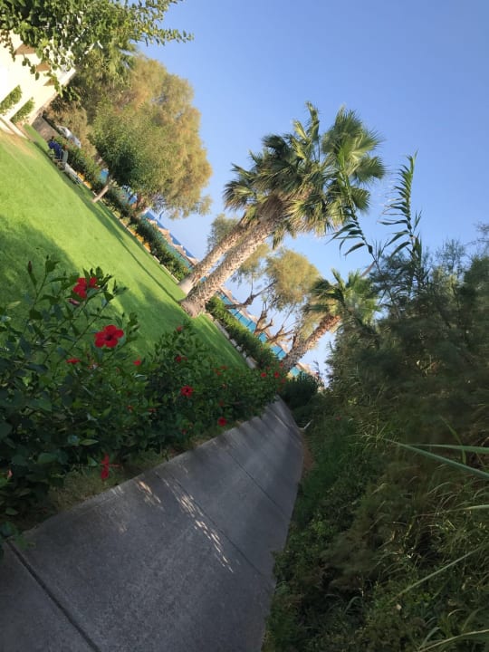 Gartenanlage Phãea Cretan Malia