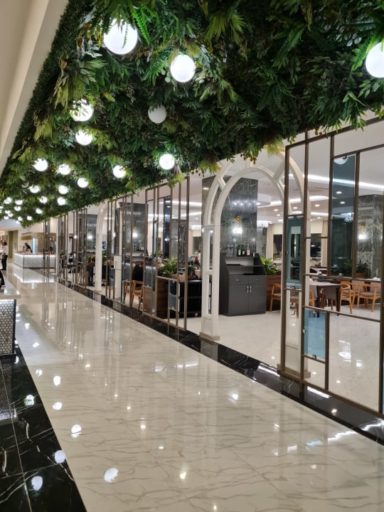 Gastro Dream Water World