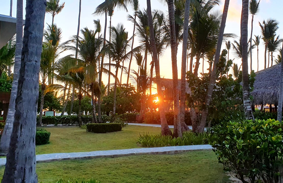 Gartenanlage Hotel Grand Palladium Palace Resort, Spa & Casino