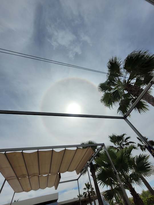 Pool Hotel Riu Palace Santa Maria