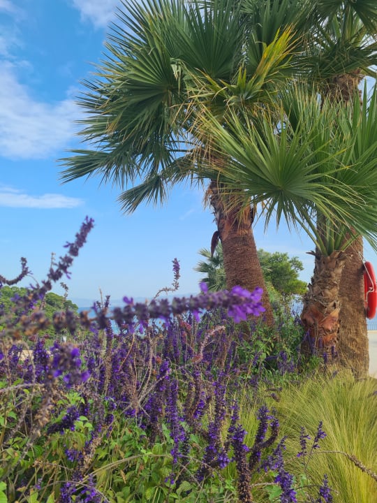 Gartenanlage Cora Hotel & Spa