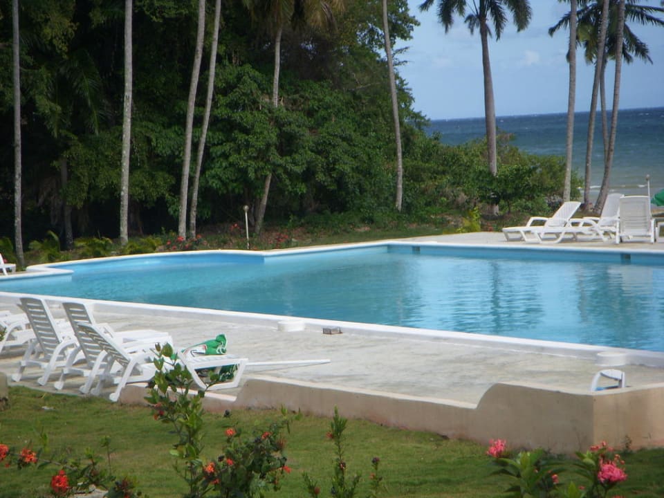Bahia de los dioses samana swimming  pool Beach Hotel Bahia De Los Dioses