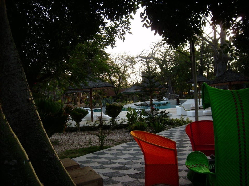 Blick zum Pool Hotel Les Palétuviers