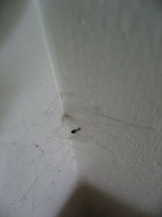 Unsere Junio-Suite im Haus Nr. 11 (unten links) Grand Palladium Select Bávaro Resort & Spa