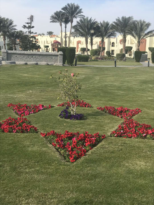 Gartenanlage SUNRISE Royal Makadi Resort