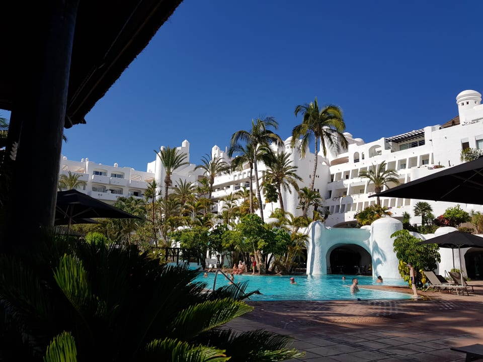 Pool Dreams Jardín Tropical