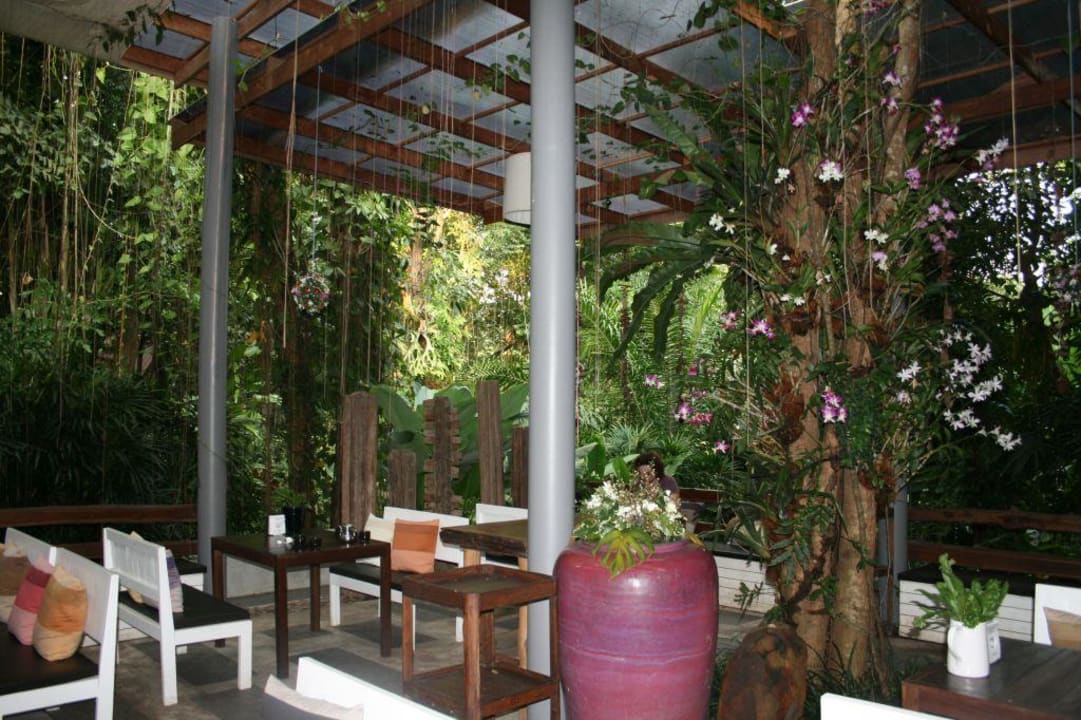 Speisen im Regenwald Hotel Rainforest Resort