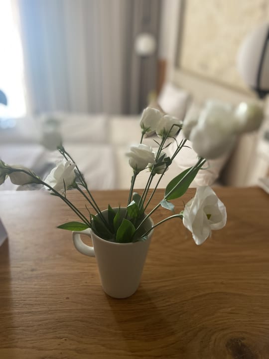 Zimmer Cactus Mare - Adults only