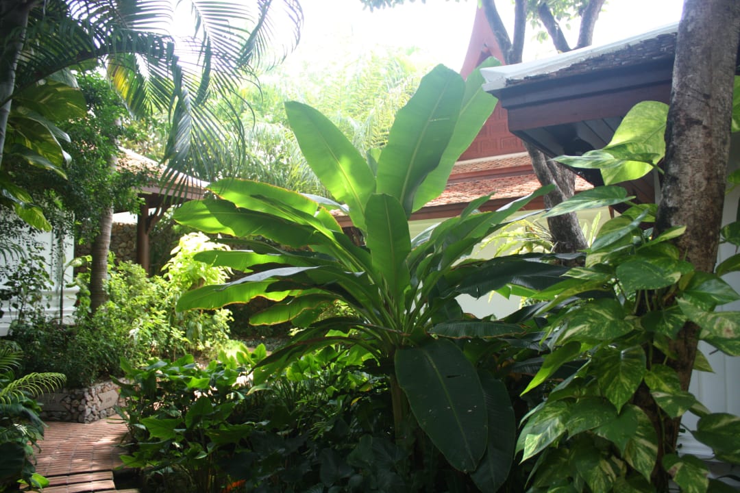Garten Anavana Beach Resort