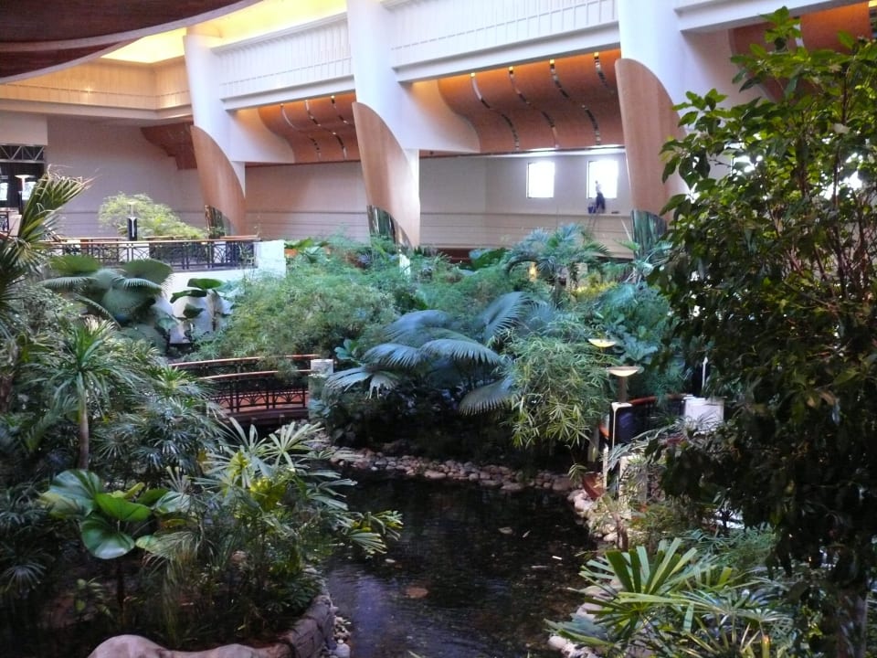 Eine Oase Grand Hyatt Dubai