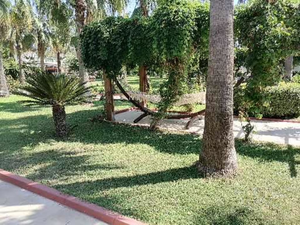 Gartenanlage Saphir Resort & Spa